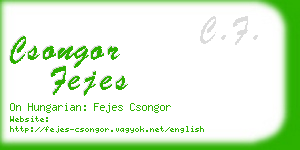 csongor fejes business card